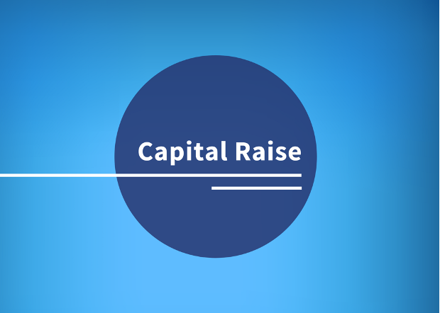 Raising Capital: What Are Your Options?