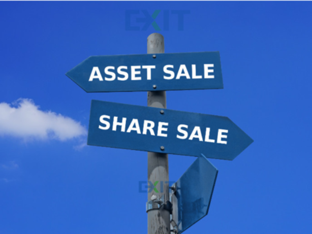 What Should I Buy? Shares or Assets?